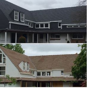 Vivid Roofing Tauranga